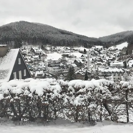 Ferienwohnung Wilmes Winterberg Buitenkant foto