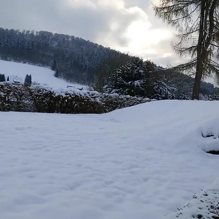 Ferienwohnung Wilmes Winterberg Buitenkant foto