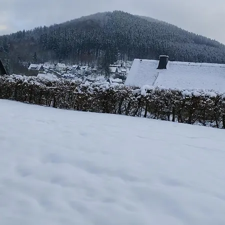 Ferienwohnung Wilmes Winterberg Buitenkant foto