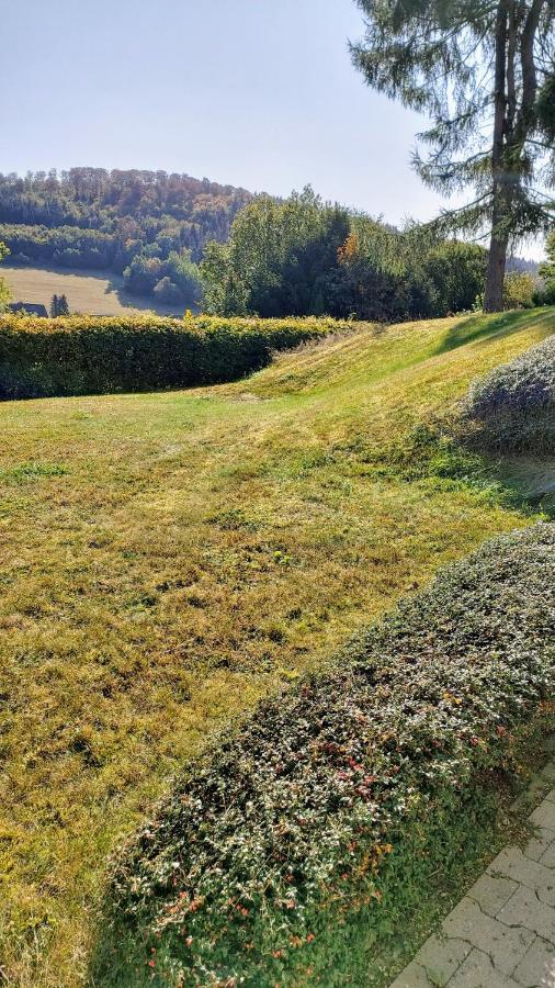 Wilmes Apartment Winterberg