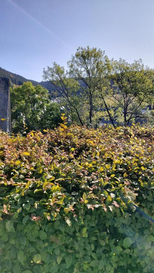 Apartment Wilmes Winterberg