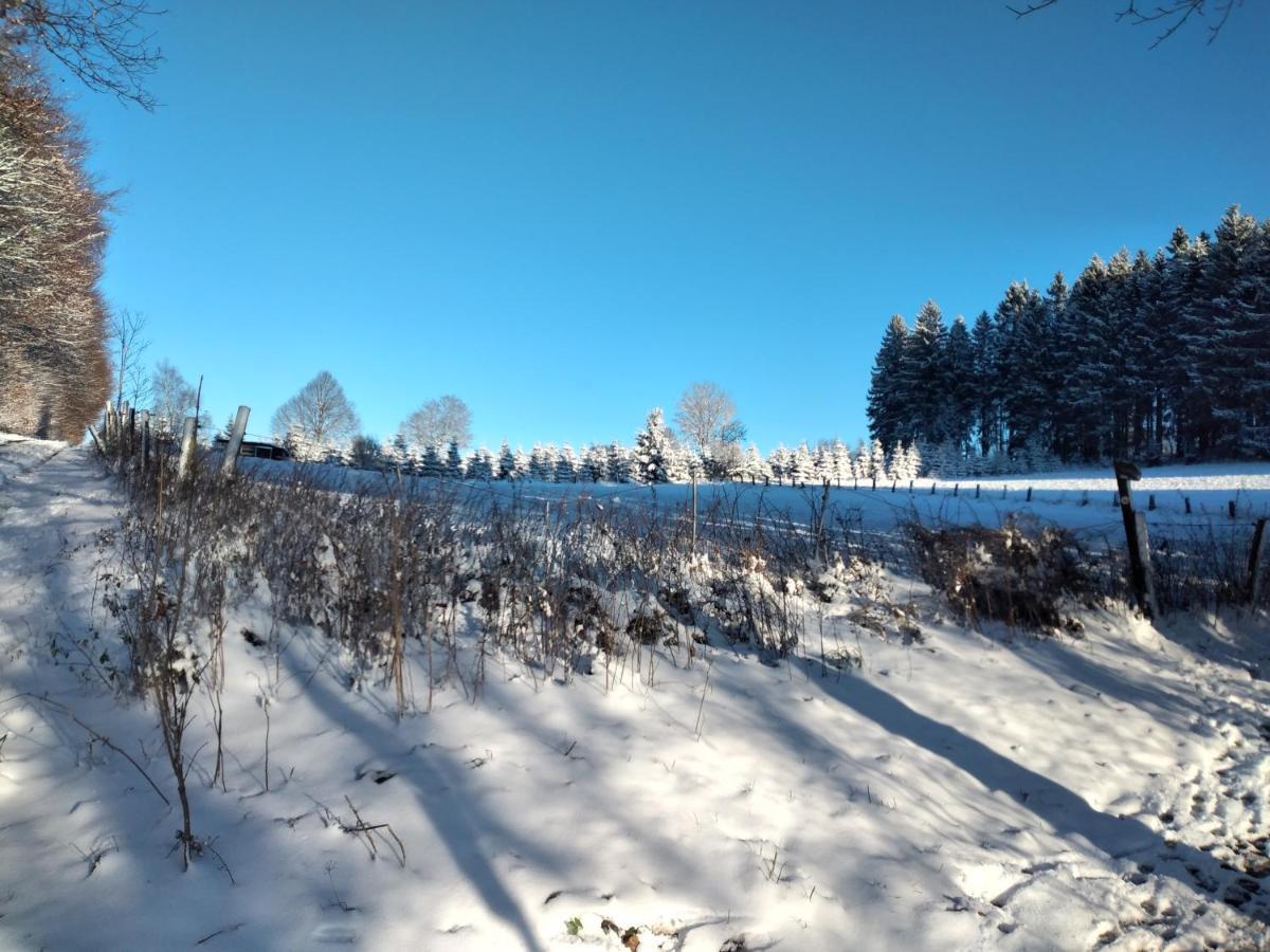 Apartment Wilmes Winterberg