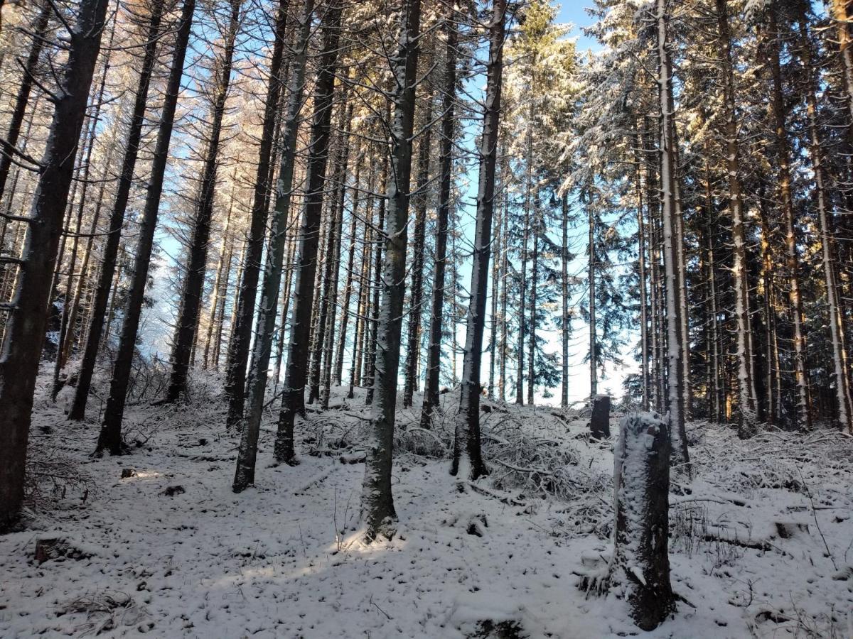 Wilmes Winterberg